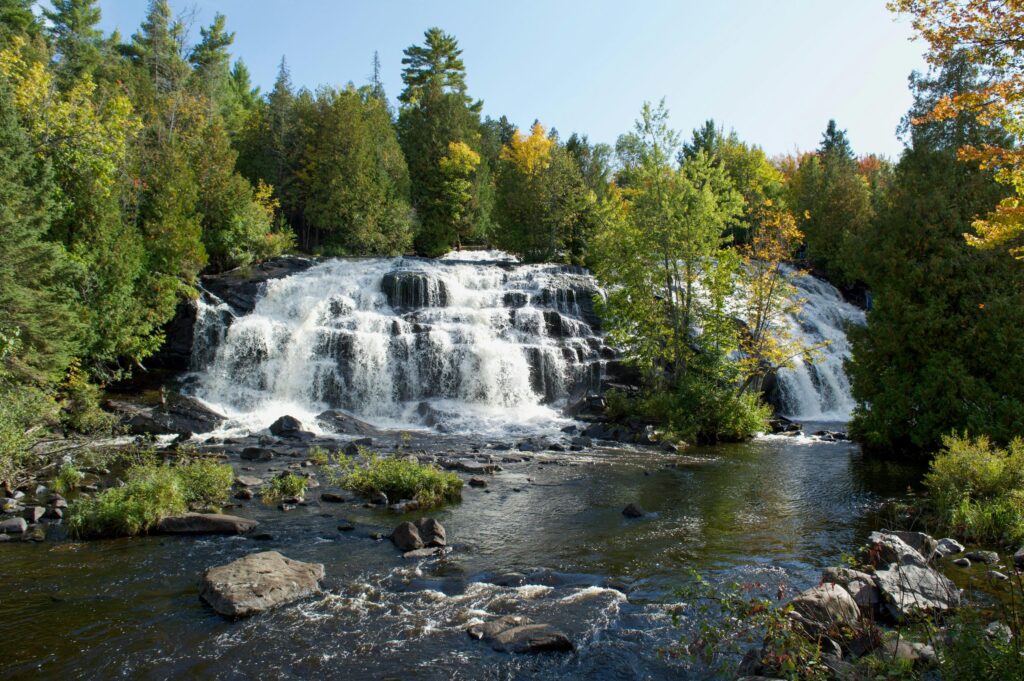 Forest Bathing: Parks in the GTA